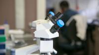 microscope closeup